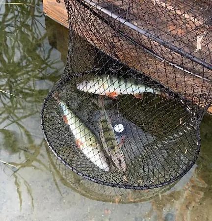 Casa de Férias Aleksandra *