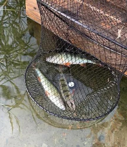 Prázdninový dům Aleksandra *